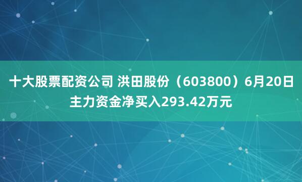 十大股票配资公司 洪田股份（603800）6月20日主力资金净买入293.42万元