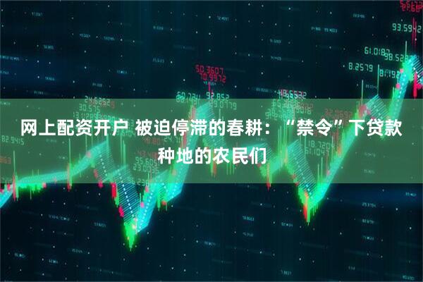 网上配资开户 被迫停滞的春耕：“禁令”下贷款种地的农民们