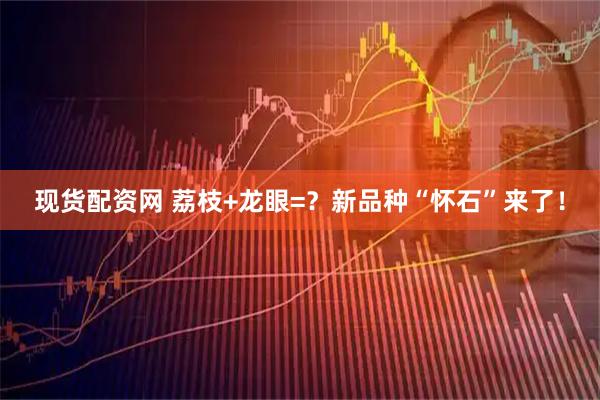 现货配资网 荔枝+龙眼=？新品种“怀石”来了！